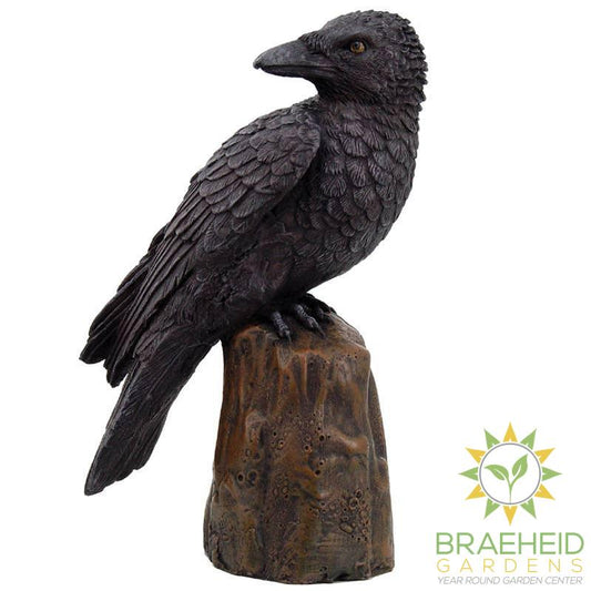 Raven Halloween Decoration C/24