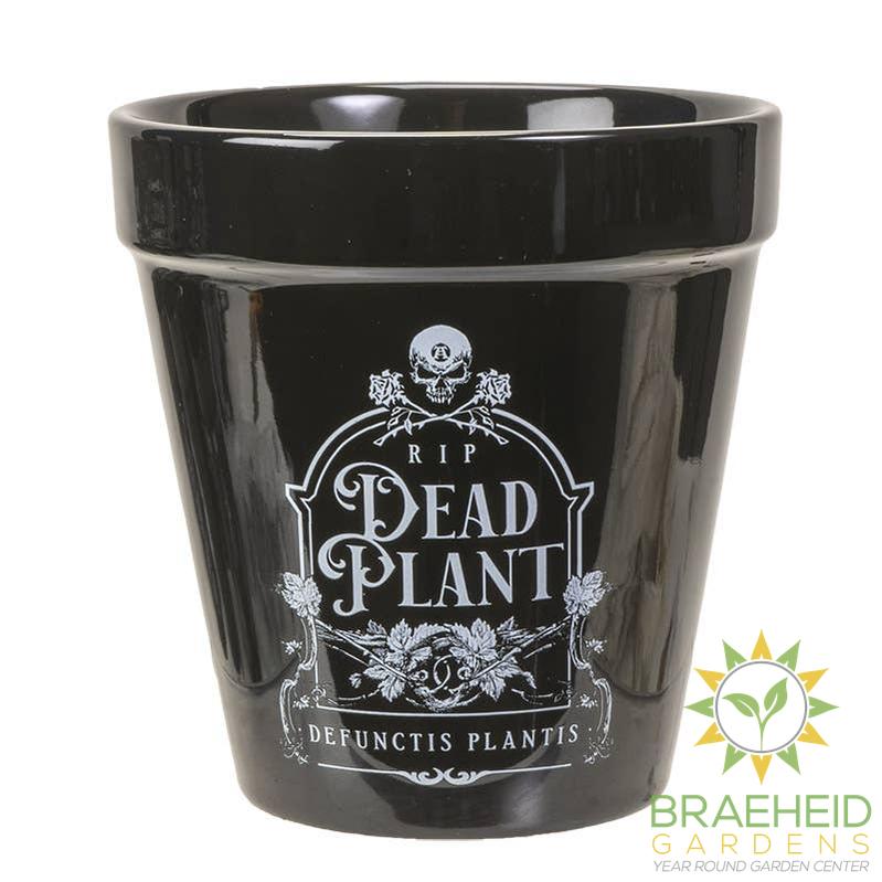 Dead Plant Garden Planter Halloween Decor