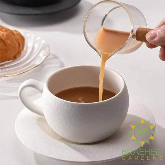 Matte Stone Finish Ceramic Cup and Saucer Set