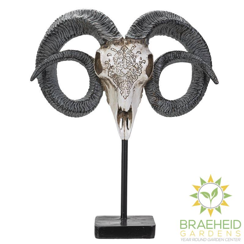 Carved Ram Decorative Skull