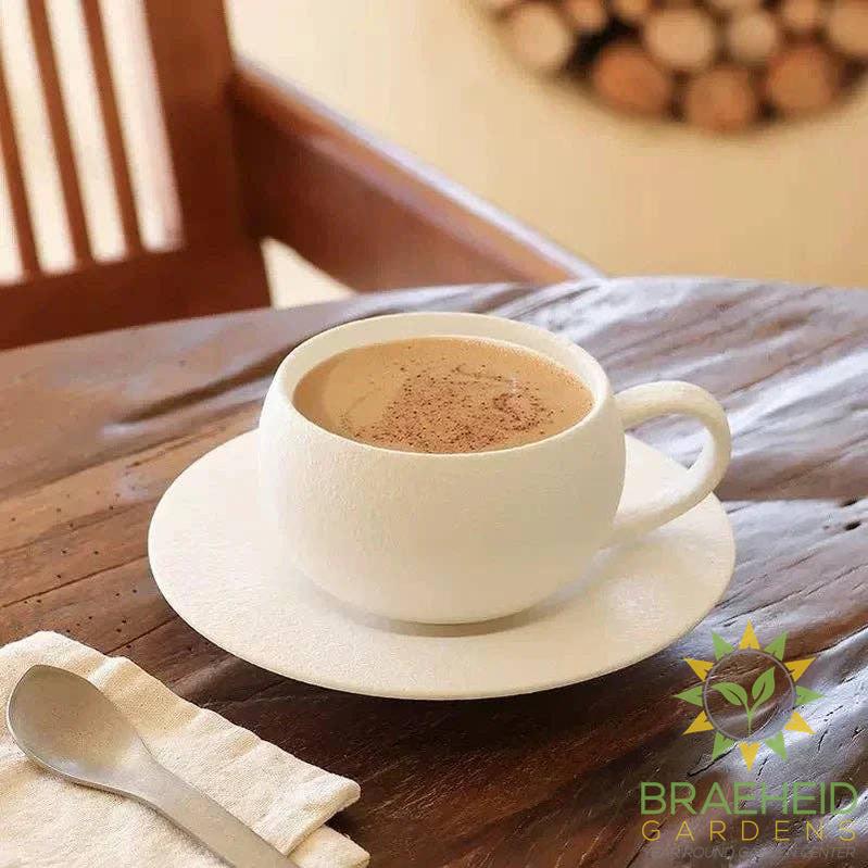 Matte Stone Finish Ceramic Cup and Saucer Set
