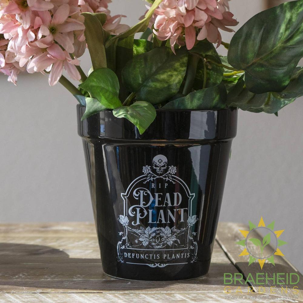 Dead Plant Garden Planter Halloween Decor