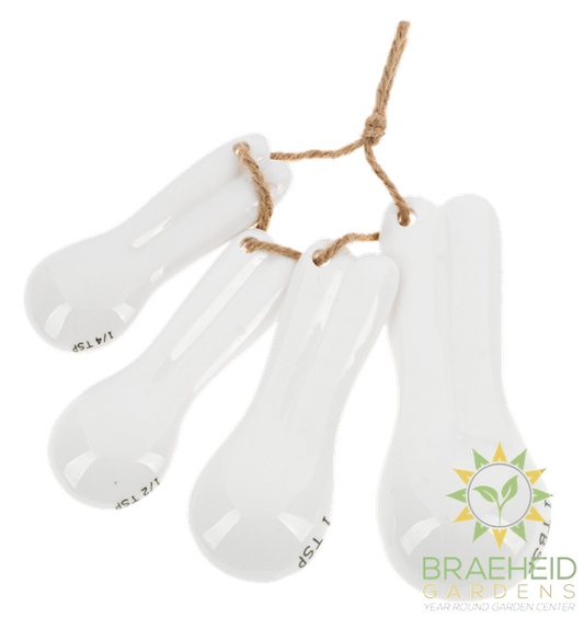 Bunny Measuring Spoons (4 pc. set)