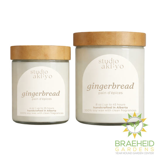 Gingerbread Soy Candle | Festive Winter Holiday Scent