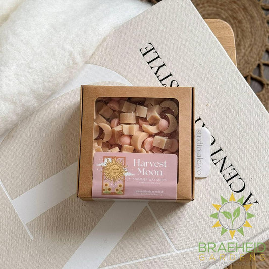 Harvest Moon — Golden Yuzu Wax Melt Scoops | Fresh Summer