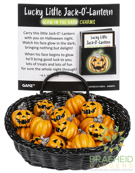 Lucky Little Jack-O-Lantern Glow in the Dark Charms