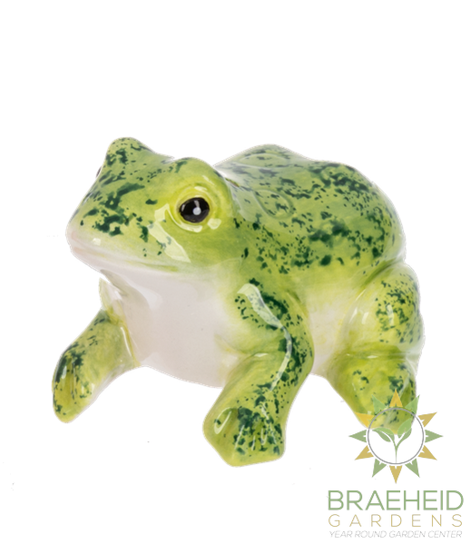 Spooky Stackers - Frog and Jack-O-Lantern Salt & Pepper Shakers