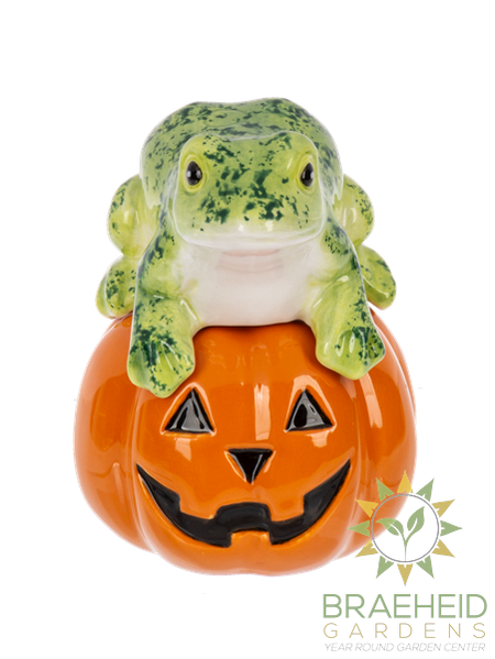 Spooky Stackers - Frog and Jack-O-Lantern Salt & Pepper Shakers