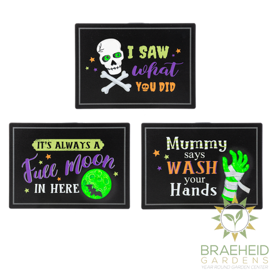 Glow in the Dark Wall Plaques
