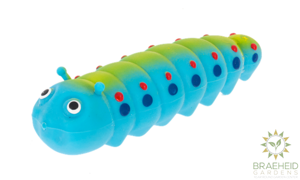 Stretchy Garden Caterpillars in Display