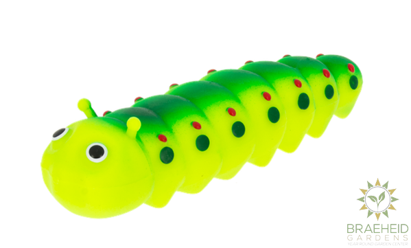 Stretchy Garden Caterpillars in Display