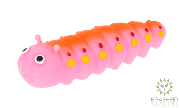 Stretchy Garden Caterpillars in Display
