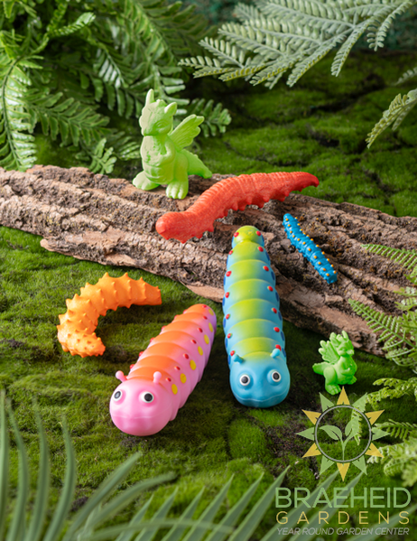 Stretchy Garden Caterpillars in Display