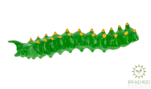 Crawling Critter Growers