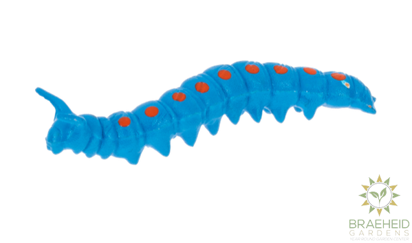 Crawling Critter Growers