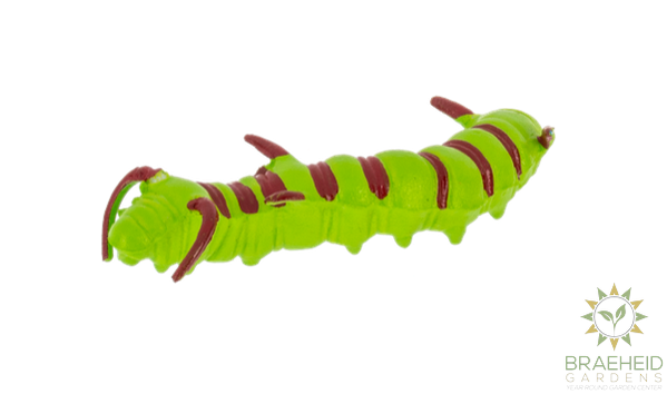 Crawling Critter Growers