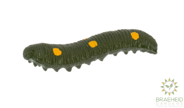 Crawling Critter Growers