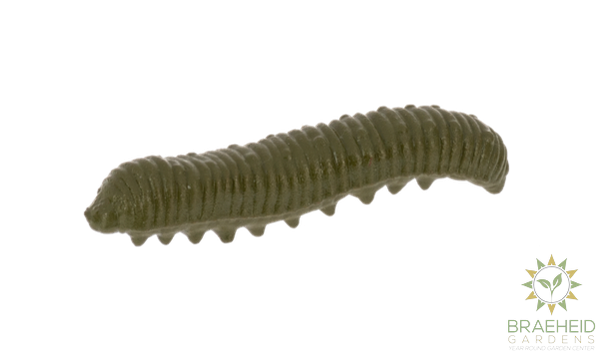 Crawling Critter Growers