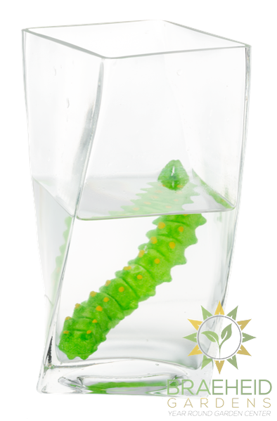 Crawling Critter Growers