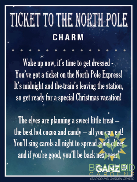 Ticket to the North Pole Charm