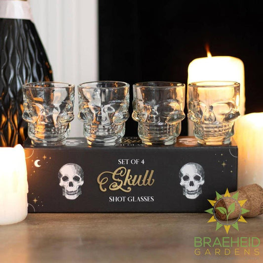4PC Skull Shot Glass Set