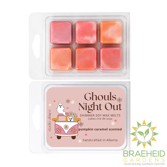 Pumpkin Caramel Ghouls Night Out Soy Wax Melt | Summerween