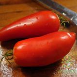 Federle Tomato