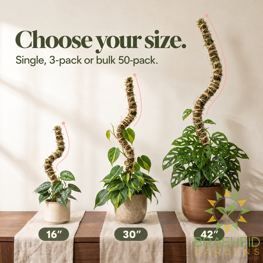 The Bendable Moss Pole™ THIN