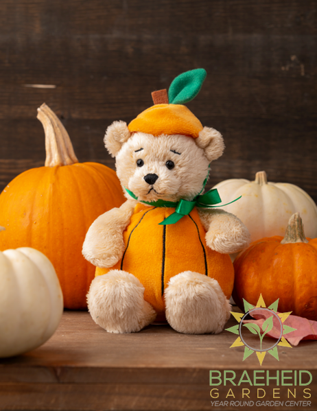 Pumpkin Wee Bears