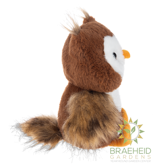 Autumn Hoot Owl