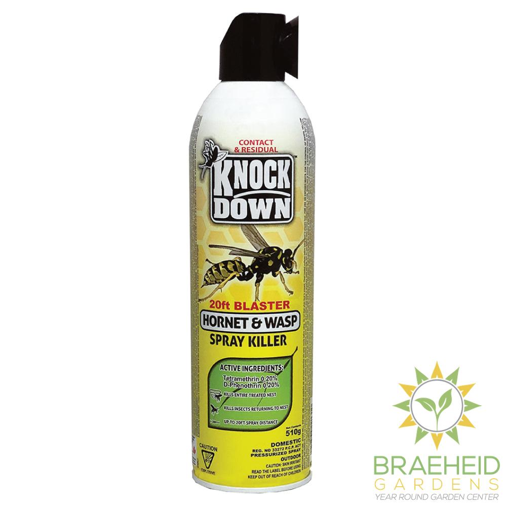Hornet & Wasp Spray Killer