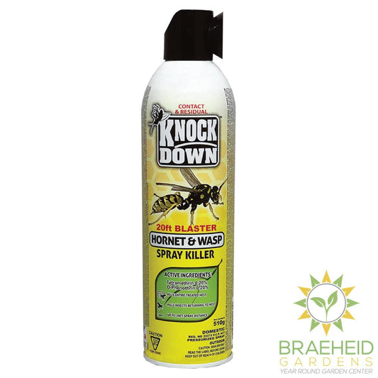 Hornet & Wasp Spray Killer