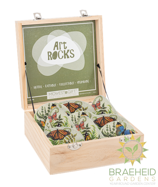 Butterfly Art Rock