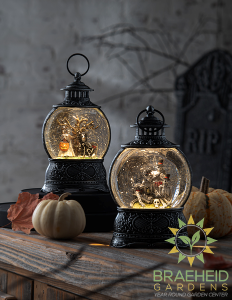 LED Light Up Spooky Shimmer Lantern