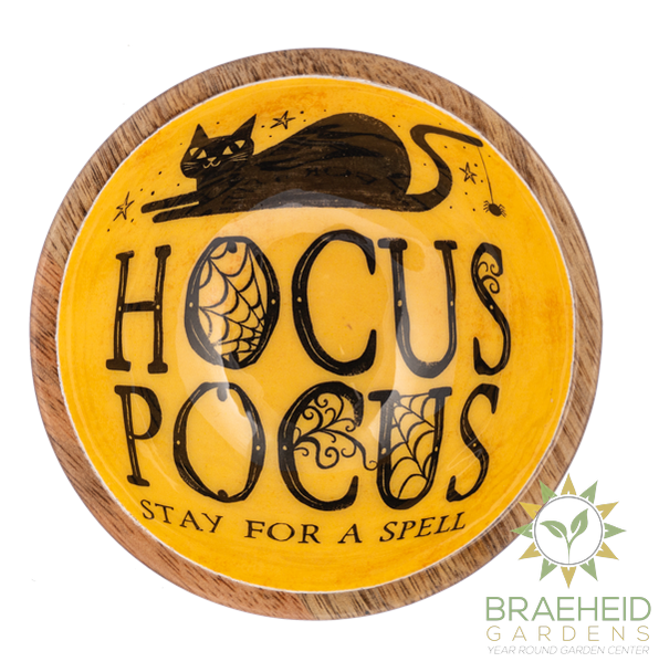 Halloween Icon Bowls