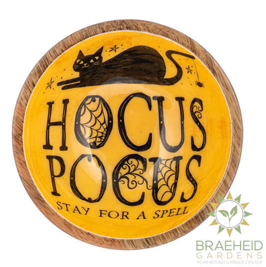 Halloween Icon Bowls