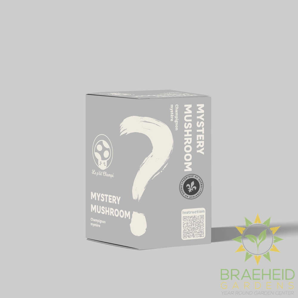 Mystery Mushroom Kit