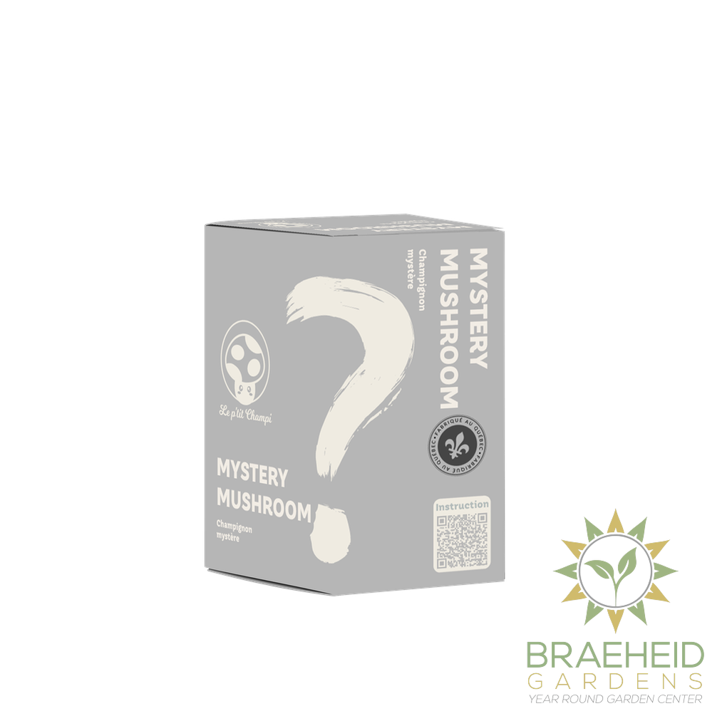 Mystery Mushroom Kit