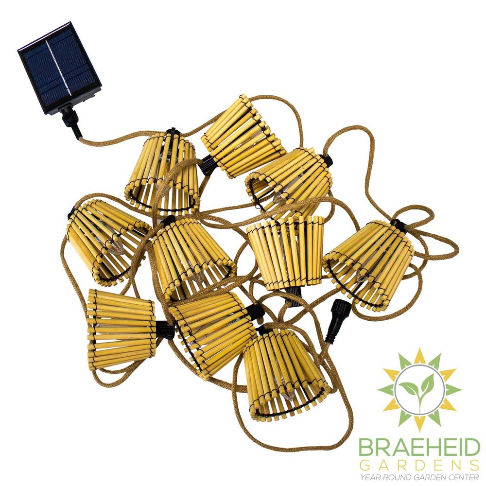 Okinawa<br> Solar-charged Garland
