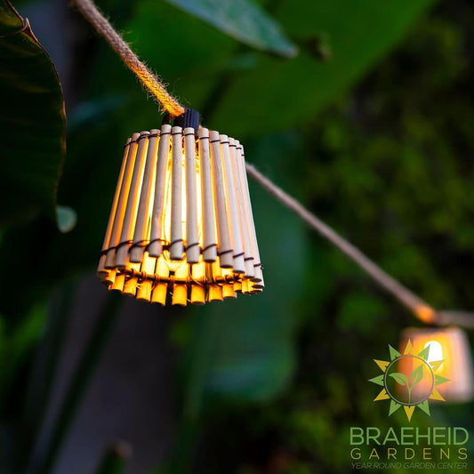 Okinawa<br> Solar-charged Garland