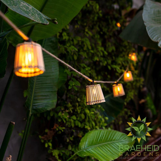 Okinawa<br> Solar-charged Garland