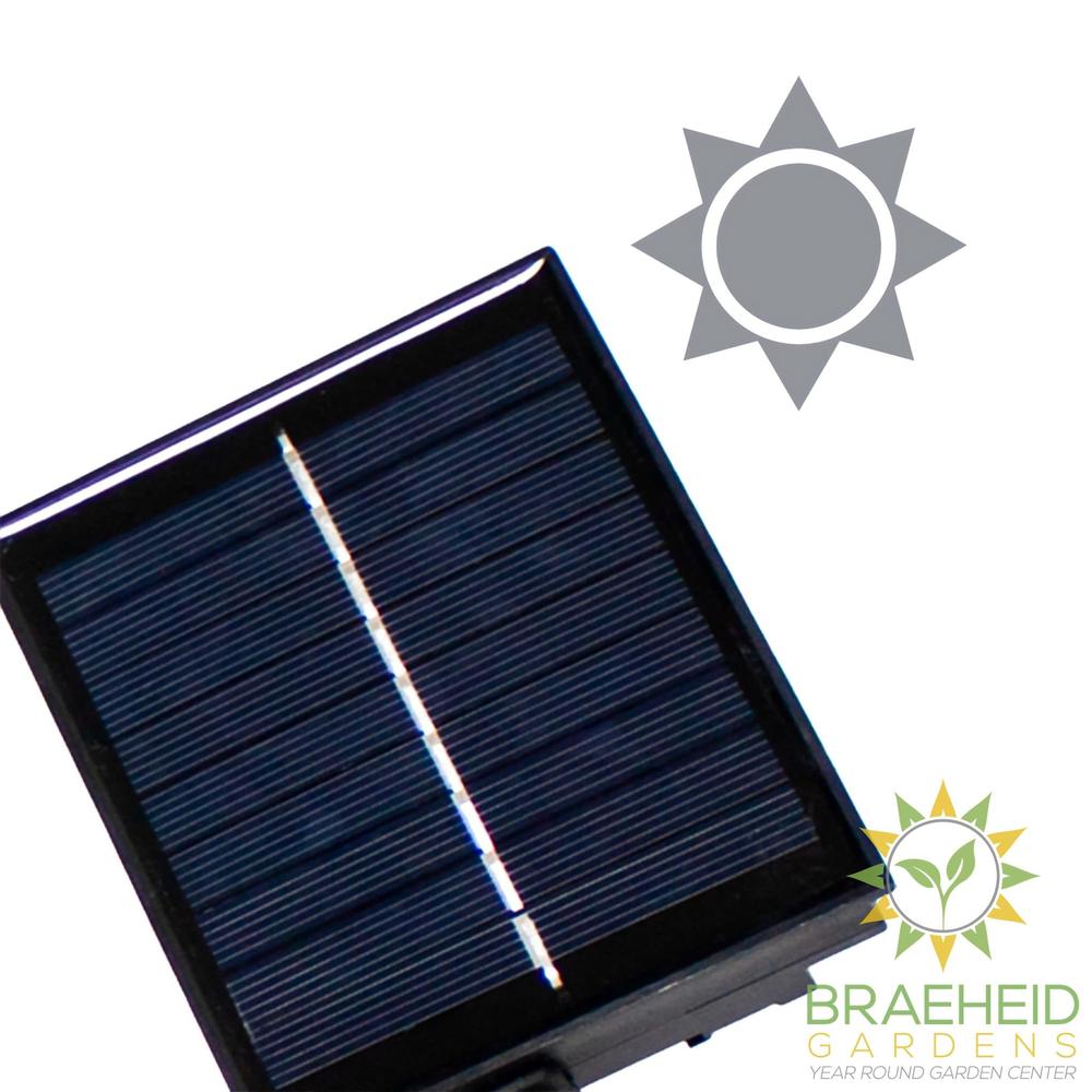 Okinawa<br> Solar-charged Garland