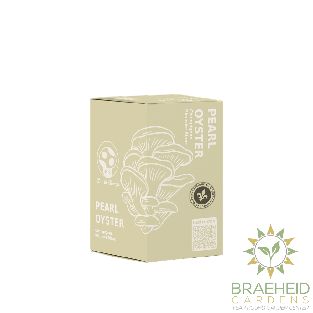 Pearl Oyster Mushroom Kit