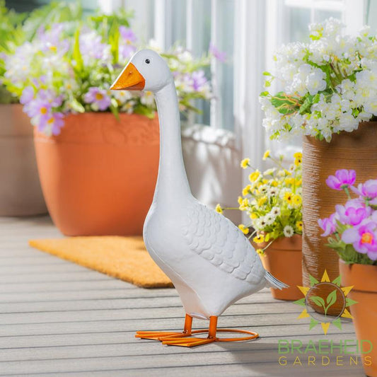Giddy The Goose