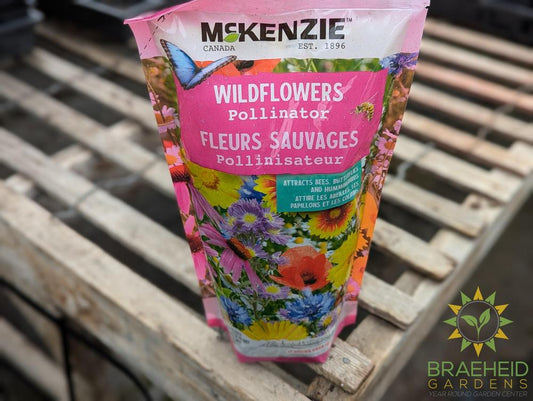 Wildflowers Pollinator Bulk Seed