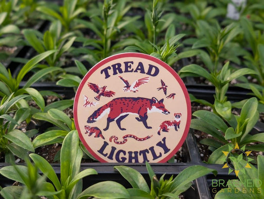 Tread Lightly Sticker 