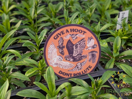 Give a Hoot Don't Pollute Sticker