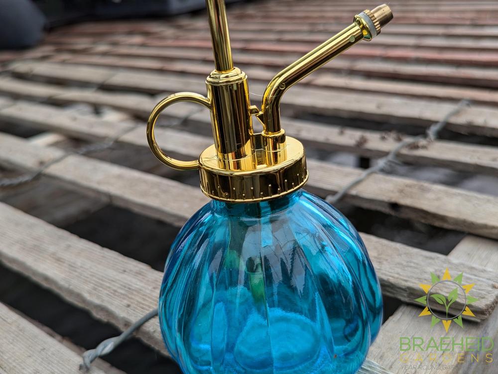 Glass Watering Spray Bottle