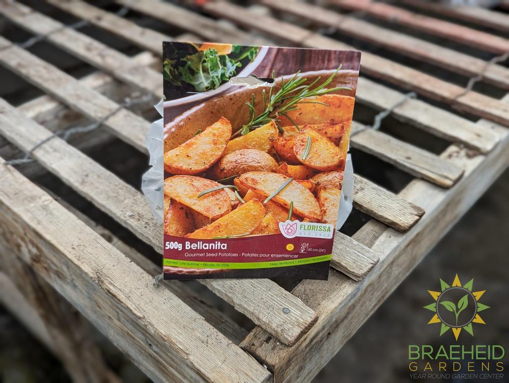 Gourmet Bellanita Potatoes