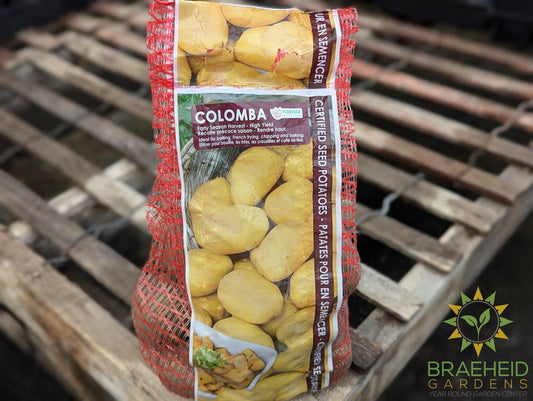 Colomba Potatoes